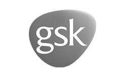 logo_gs